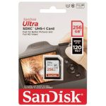 کارت حافظه SDXC سن دیسک مدل Ultra کلاس 10 استاندارد UHS-I U1 سرعت 120MBps ظرفیت 256 گیگابایت